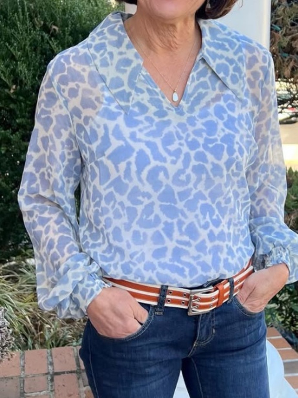 Cabi Pounce Blouse sz Large 6297